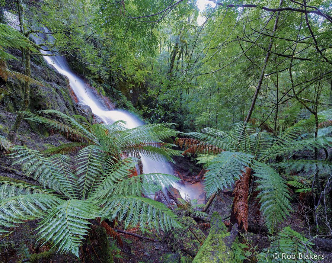 photograph of Venture Falls, Mt Lindsay mine site